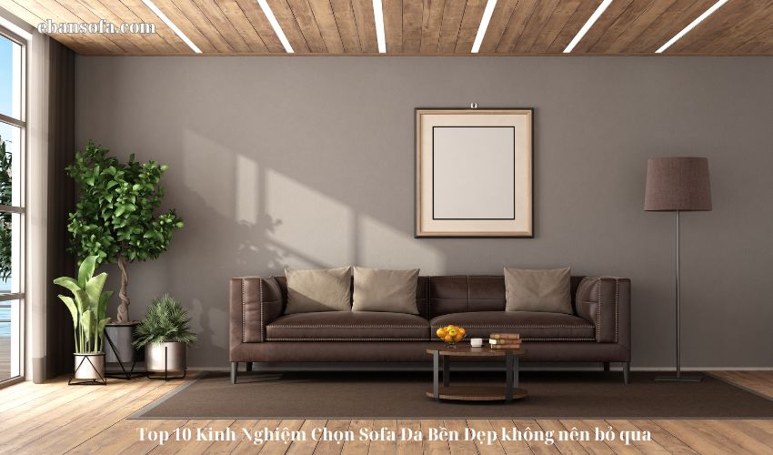 Top 10 Kinh Nghiệm Chọn Sofa Da Bền Đẹp không nên bỏ qua